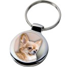 chihuahua_218-702 